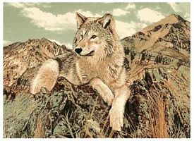 Однотонный ковер Фауна 50523 Волк